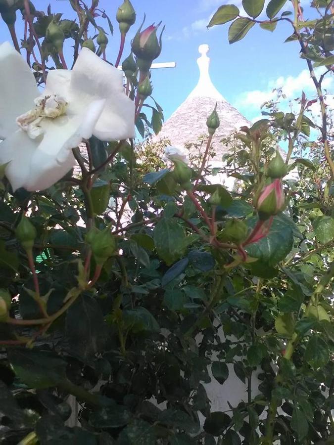 Trulli Di Ivana Ostuni Exteriör bild