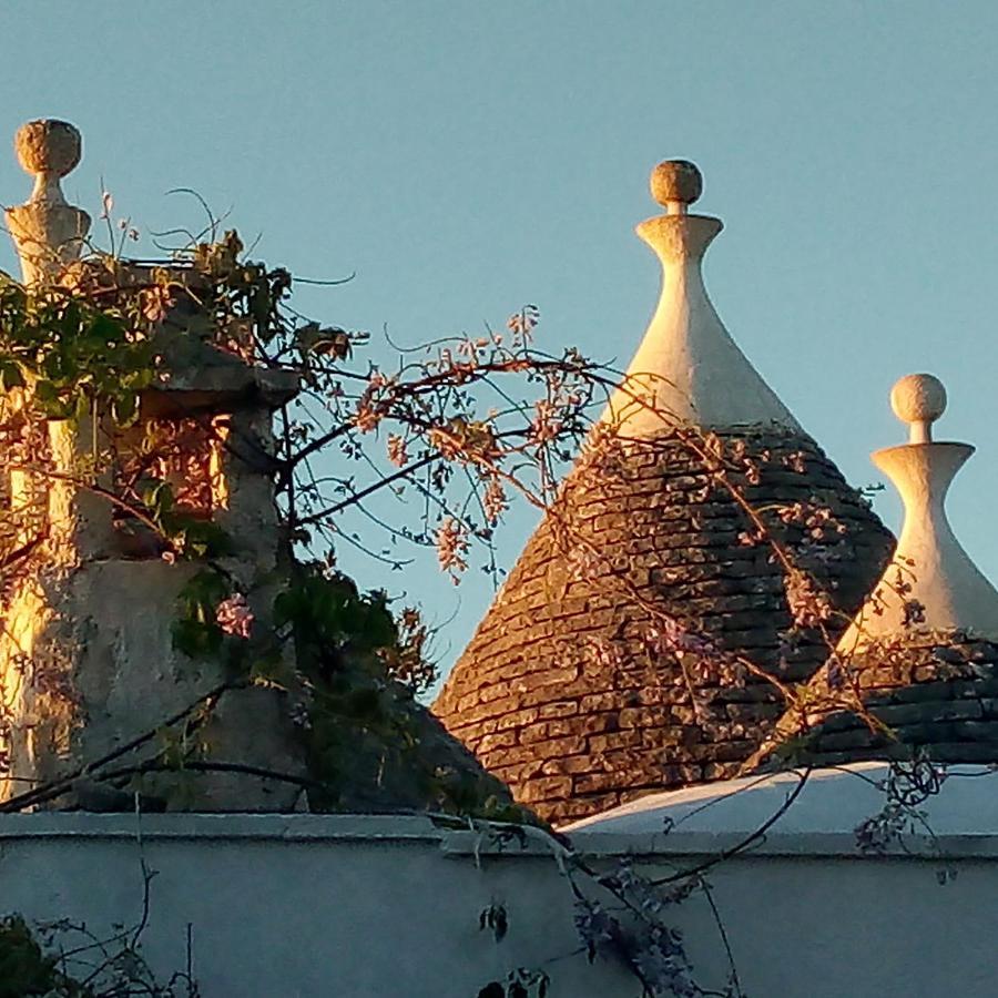 Trulli Di Ivana Ostuni Exteriör bild