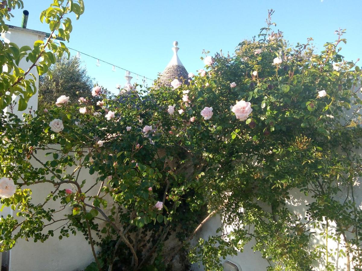 Trulli Di Ivana Ostuni Exteriör bild